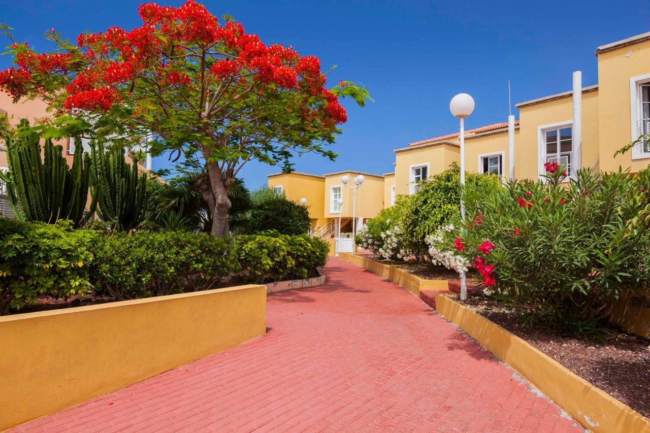 Cozy Apartment Orlando Costa Adeje  Eksteriør billede